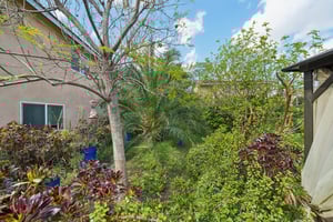 Shuning Ct-S0204-033.jpg