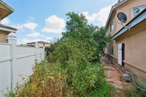 Shuning Ct-S0204-036.jpg