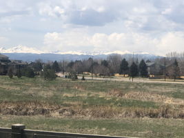  Photo 44