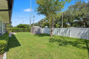Backyard3a
