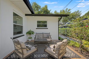 Backyard6b