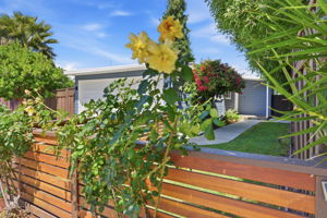 Fenced Yard
