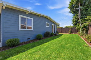 Side Yard