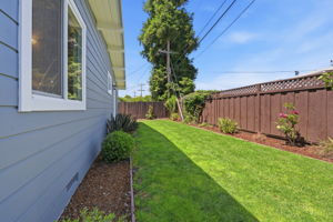 Side Yard