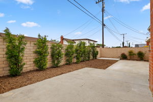 27-Back Yard