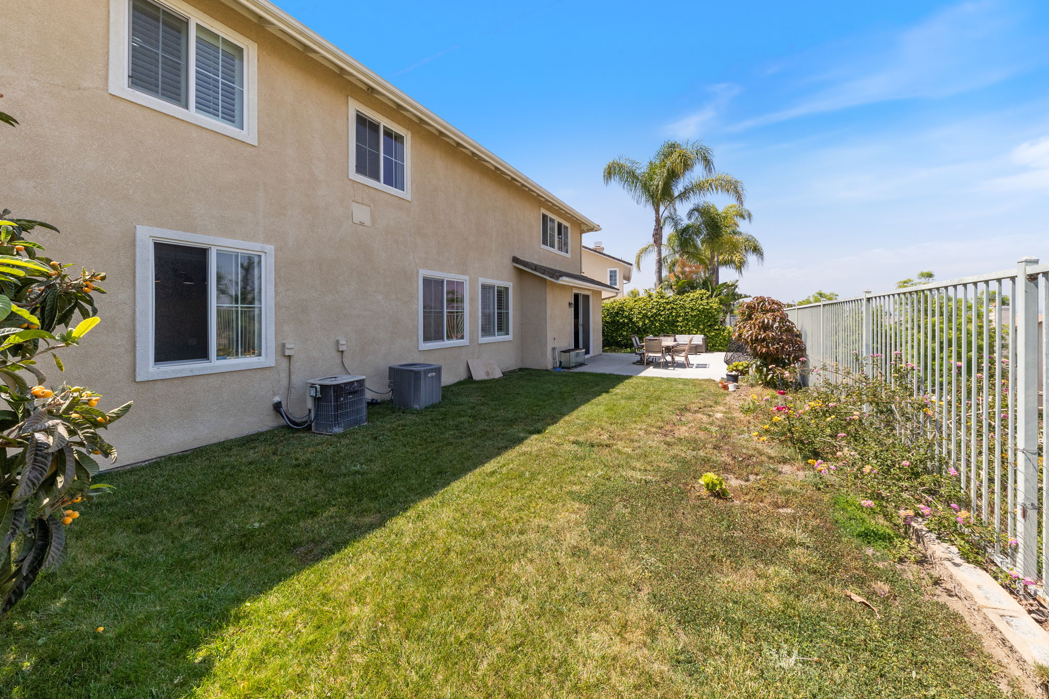Backyard 5