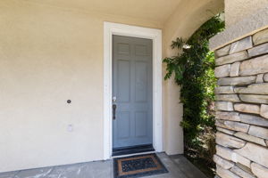 Front Entry Detail