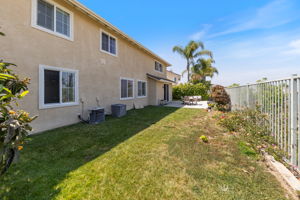 Backyard 5