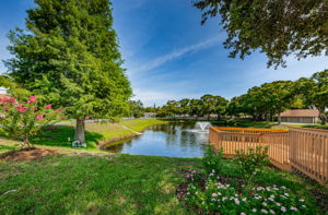 39-Common Area Dock and Pond