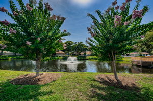 43-Common Area Dock and Pond