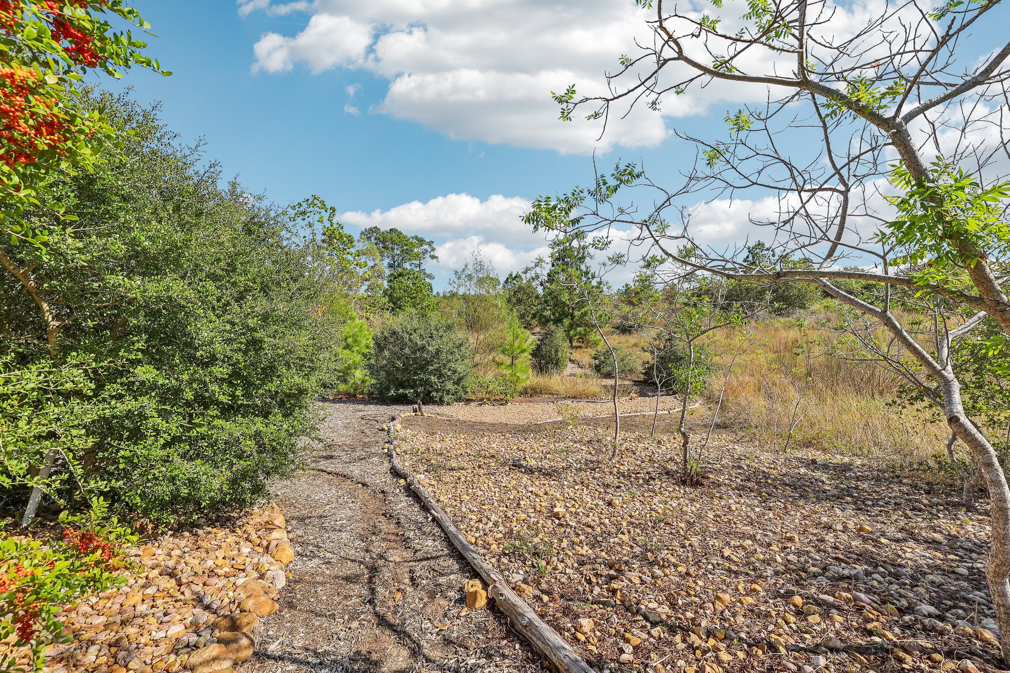 McAllister Rd-054.jpg