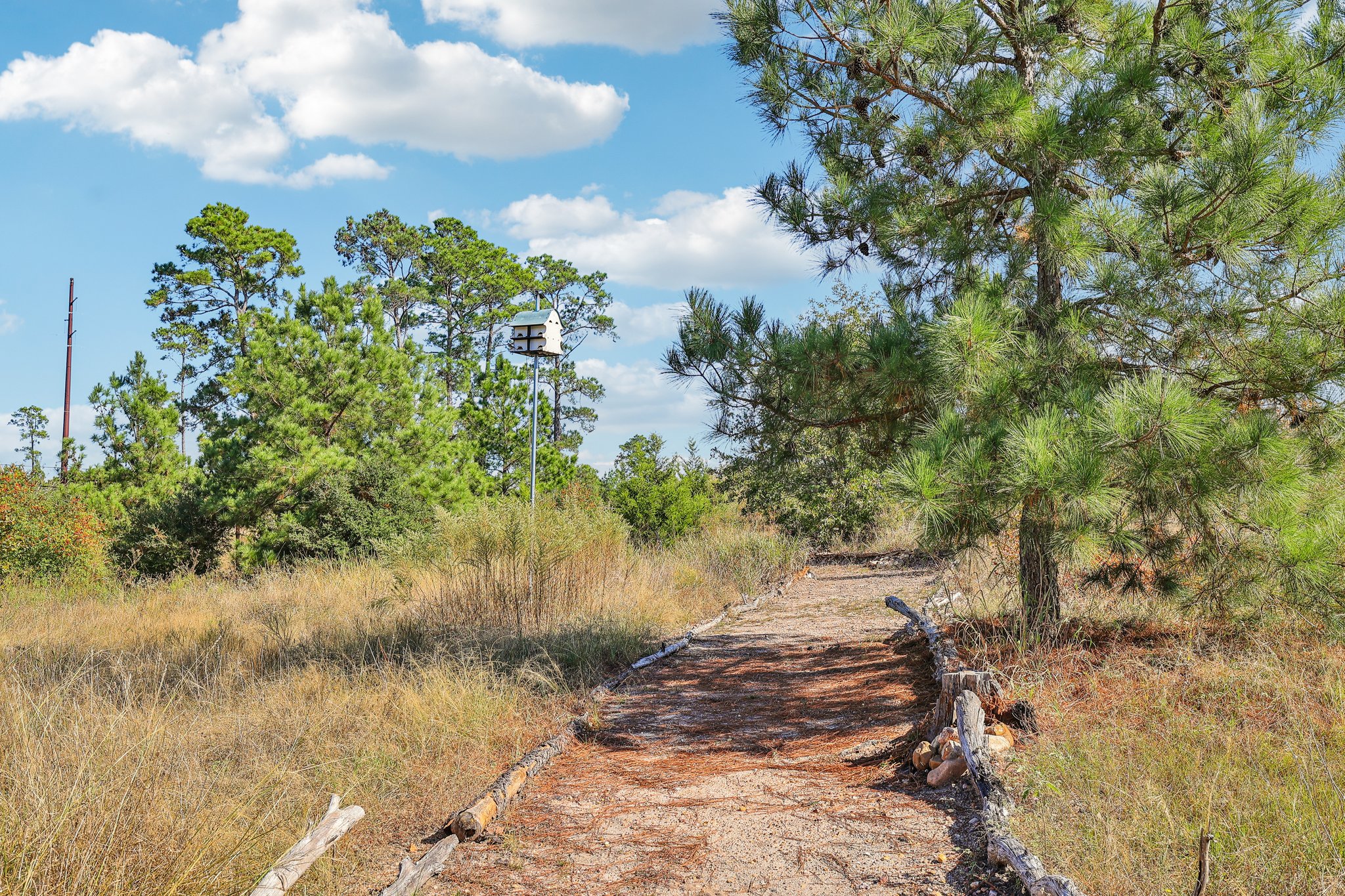 McAllister Rd-056.jpg