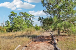 McAllister Rd-056.jpg