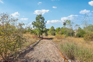 McAllister Rd-057.jpg