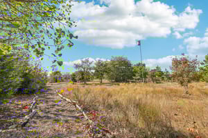 McAllister Rd-062.jpg