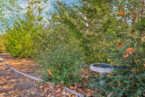 McAllister Rd-063.jpg