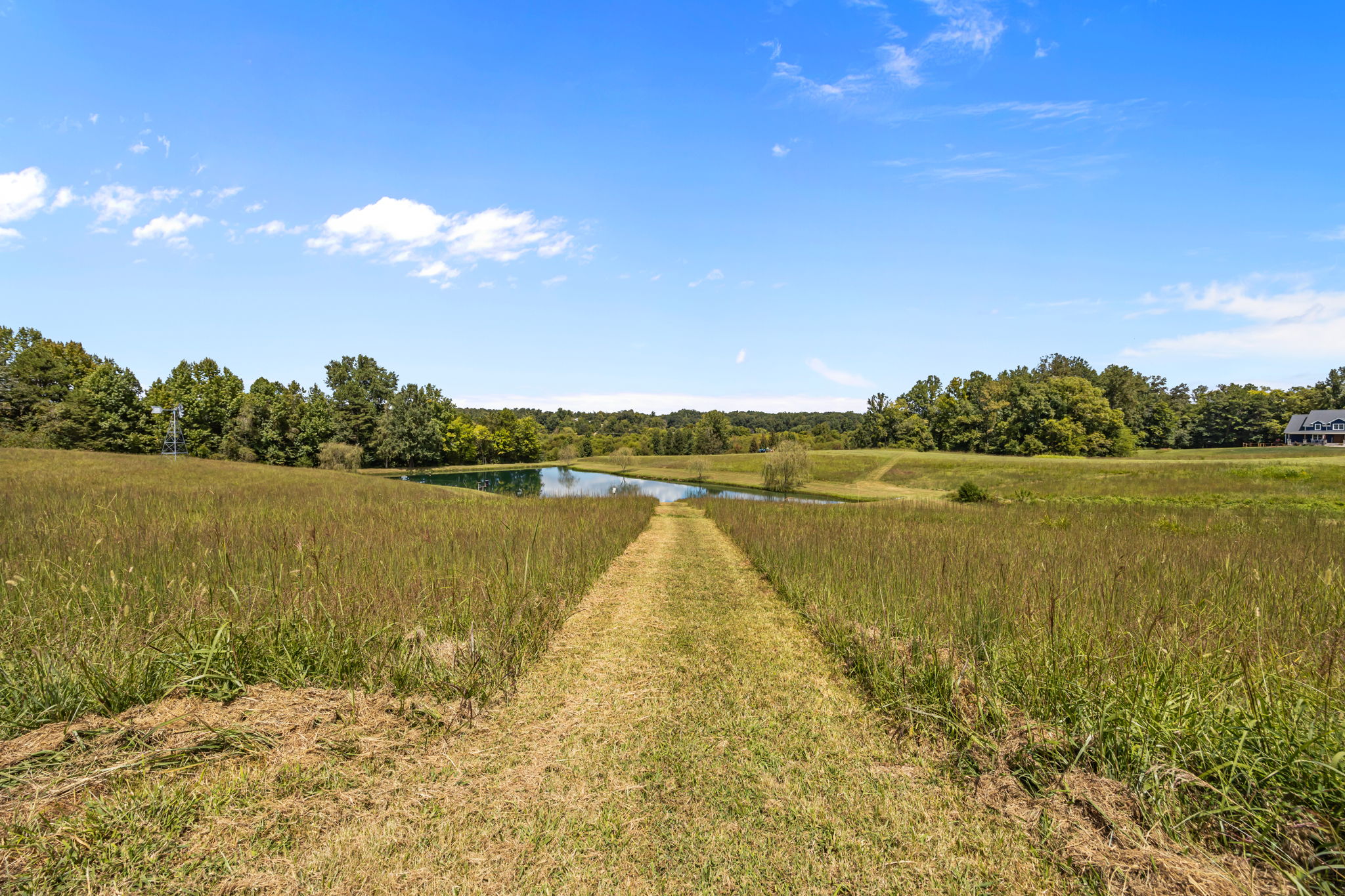 Pasture Land to Pond