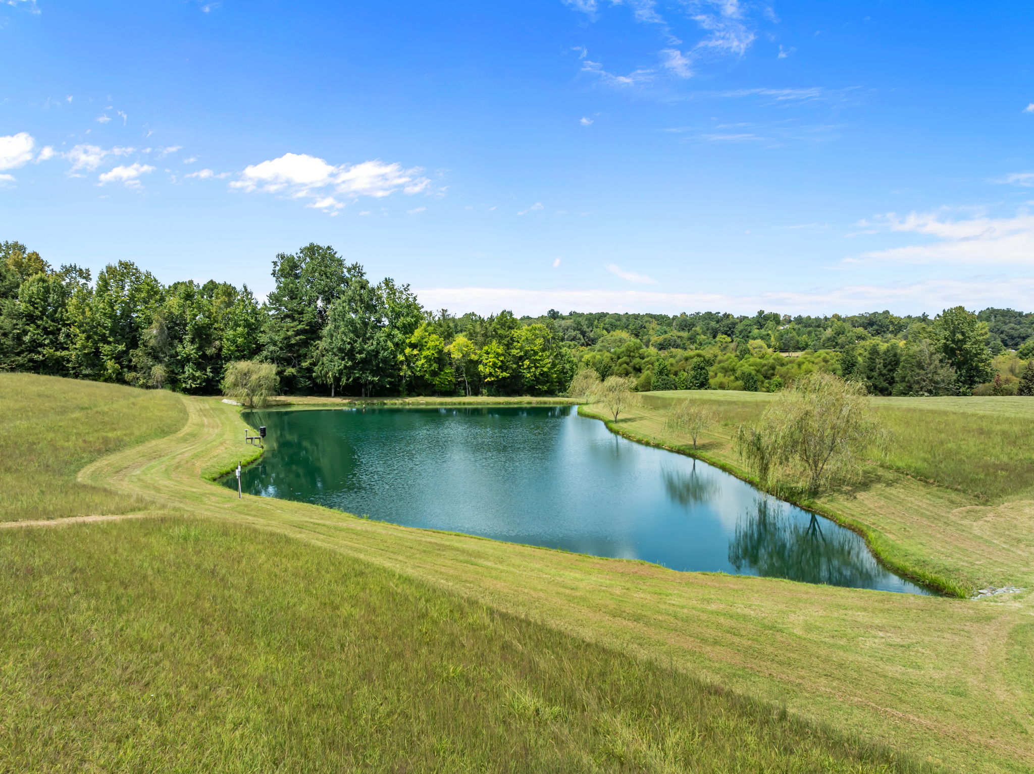 Natural Spring Side of Pond