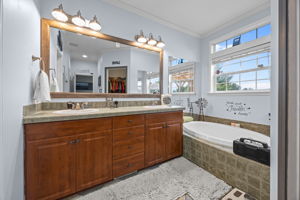 Double Sink/Vanity