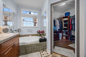 Garden Tub/Walk in Closet/ Tinted Transom Window