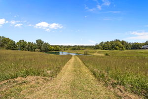 Pasture Land to Pond