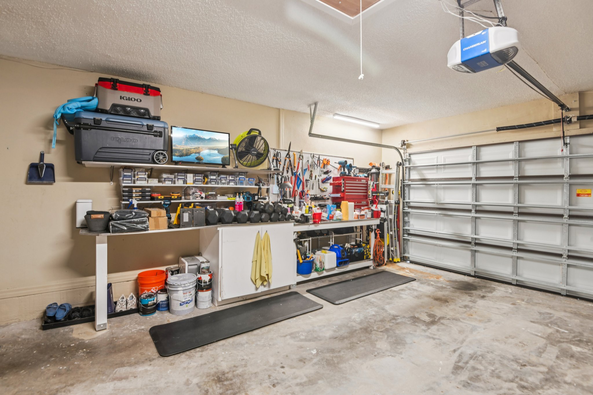 Sparkling Ct-L1603-043.jpg