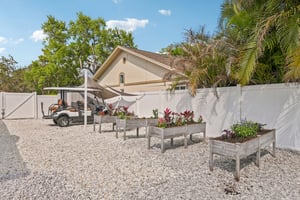 Sparkling Ct-L1603-060.jpg