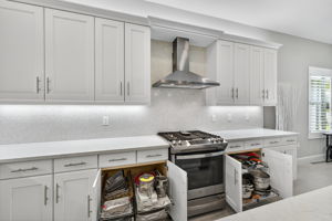 HOW CONVENIENT!!! Roll-out shelves in each lower level cabinet PLUS in the pantry!