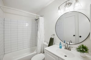 Whitebrush Loop-S1108-032.jpg
