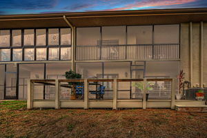Backyard 1
