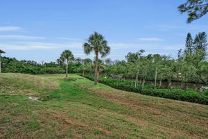 Backyard 3