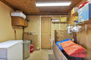  Photo 49