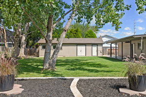 Photo 45