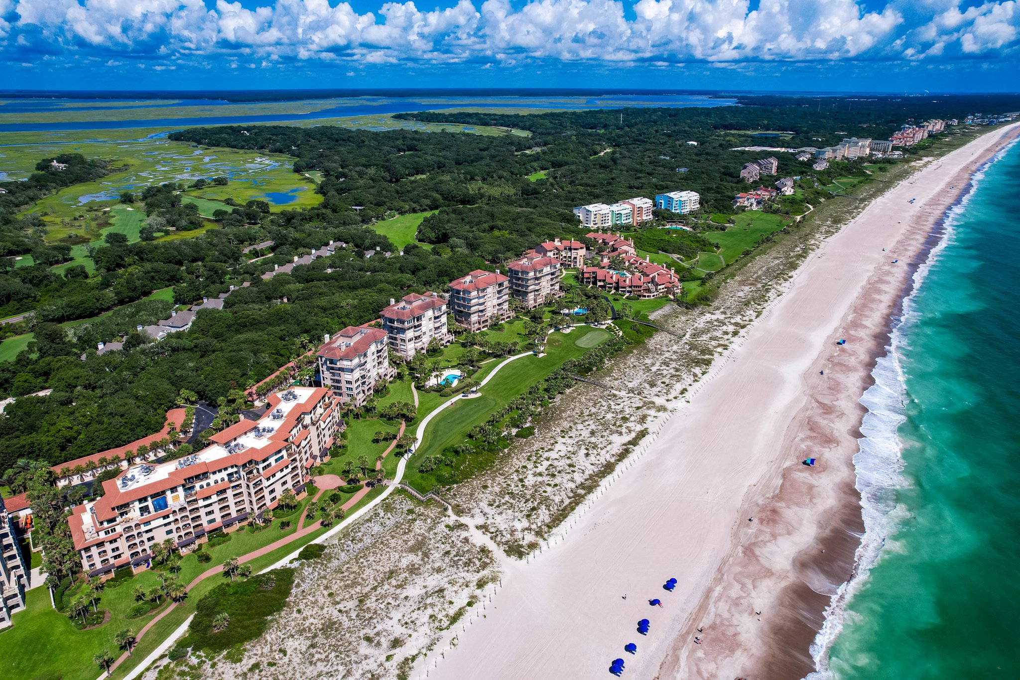 Sea Dunes