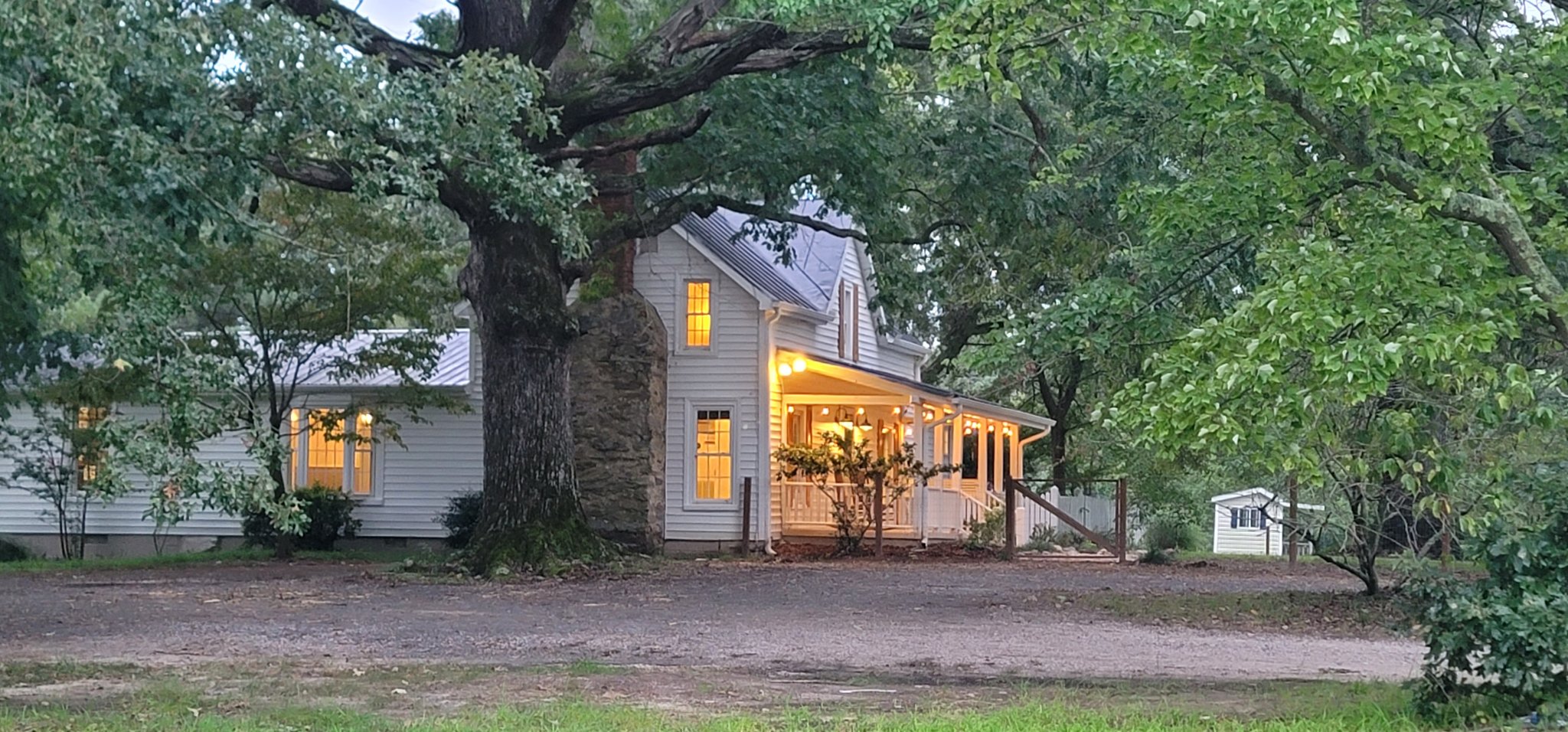 Monster Oak Trees