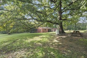 4 Stall Barn with Standing Pads