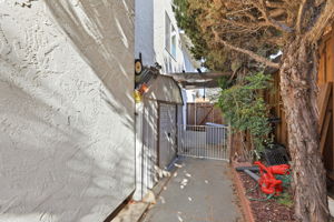  Photo 49