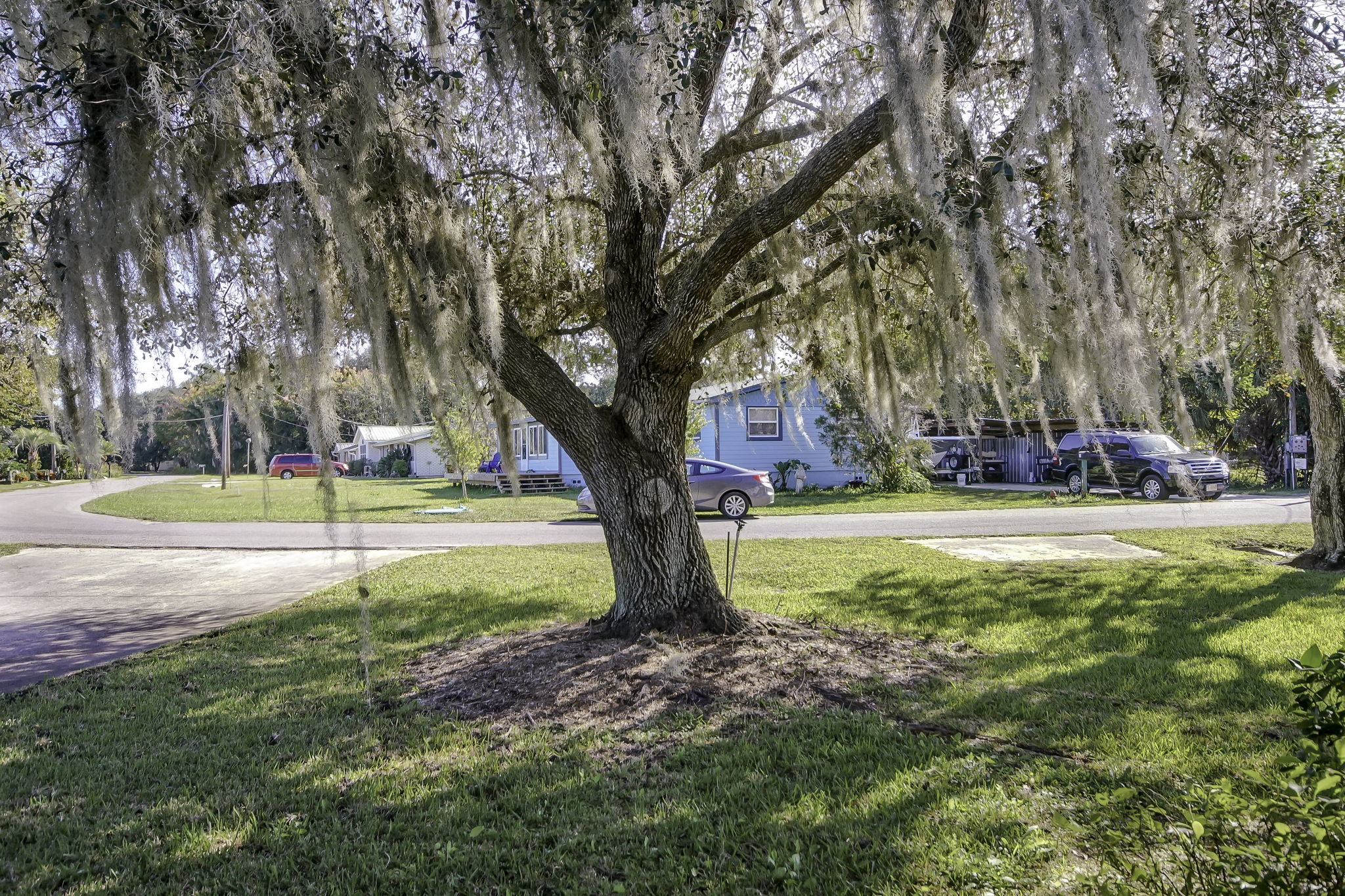 Front Yard