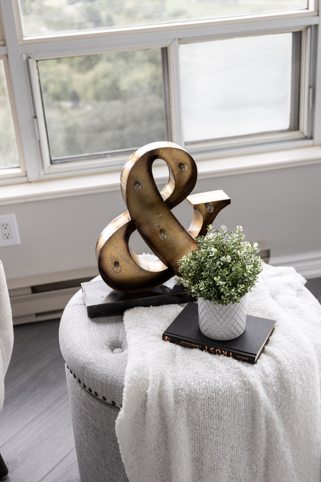Toronto property showcase — delivered property photograph 41
