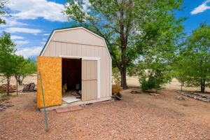 Garden Shed