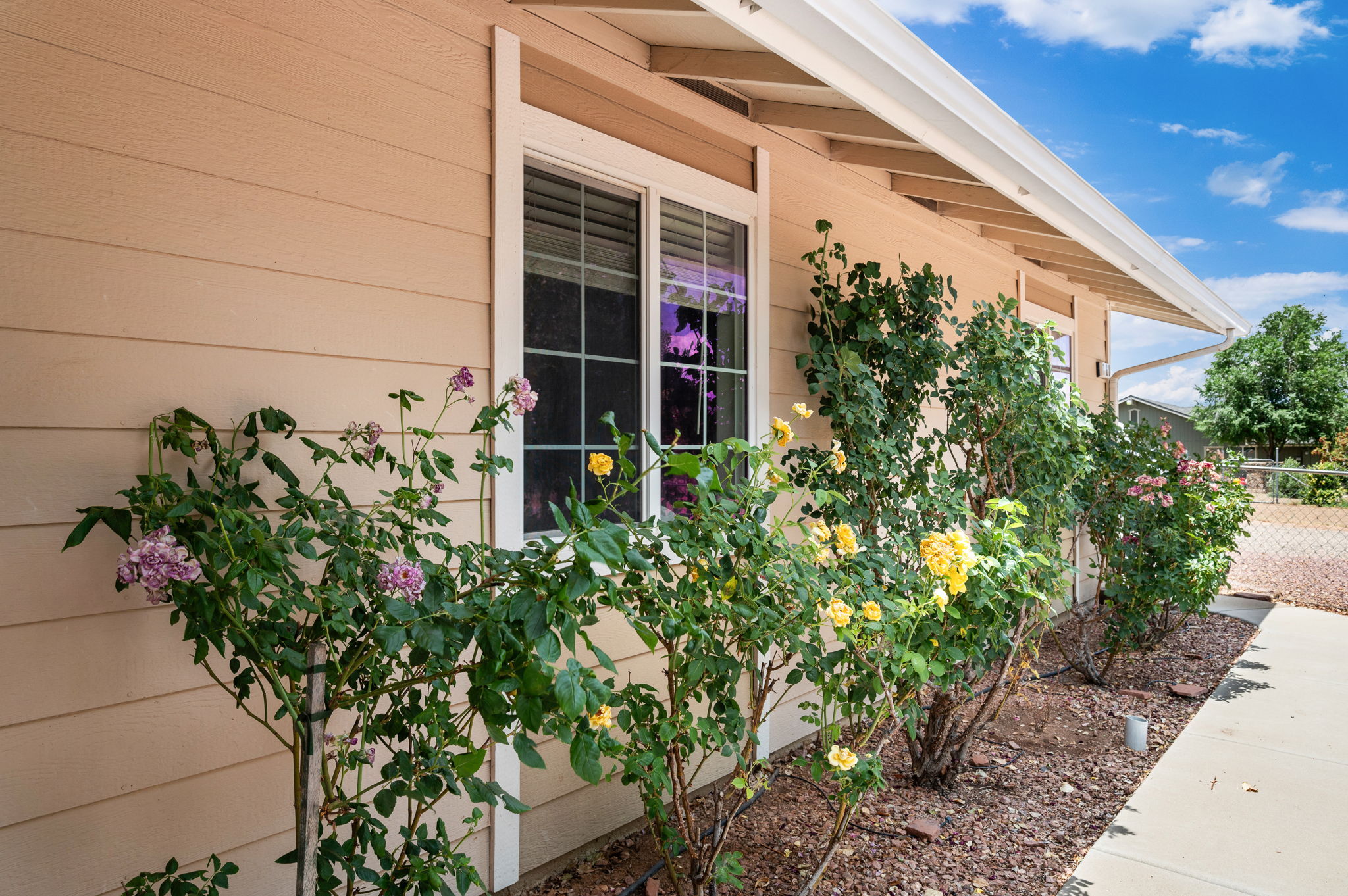 Front Flower Garden