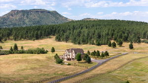 Aerial