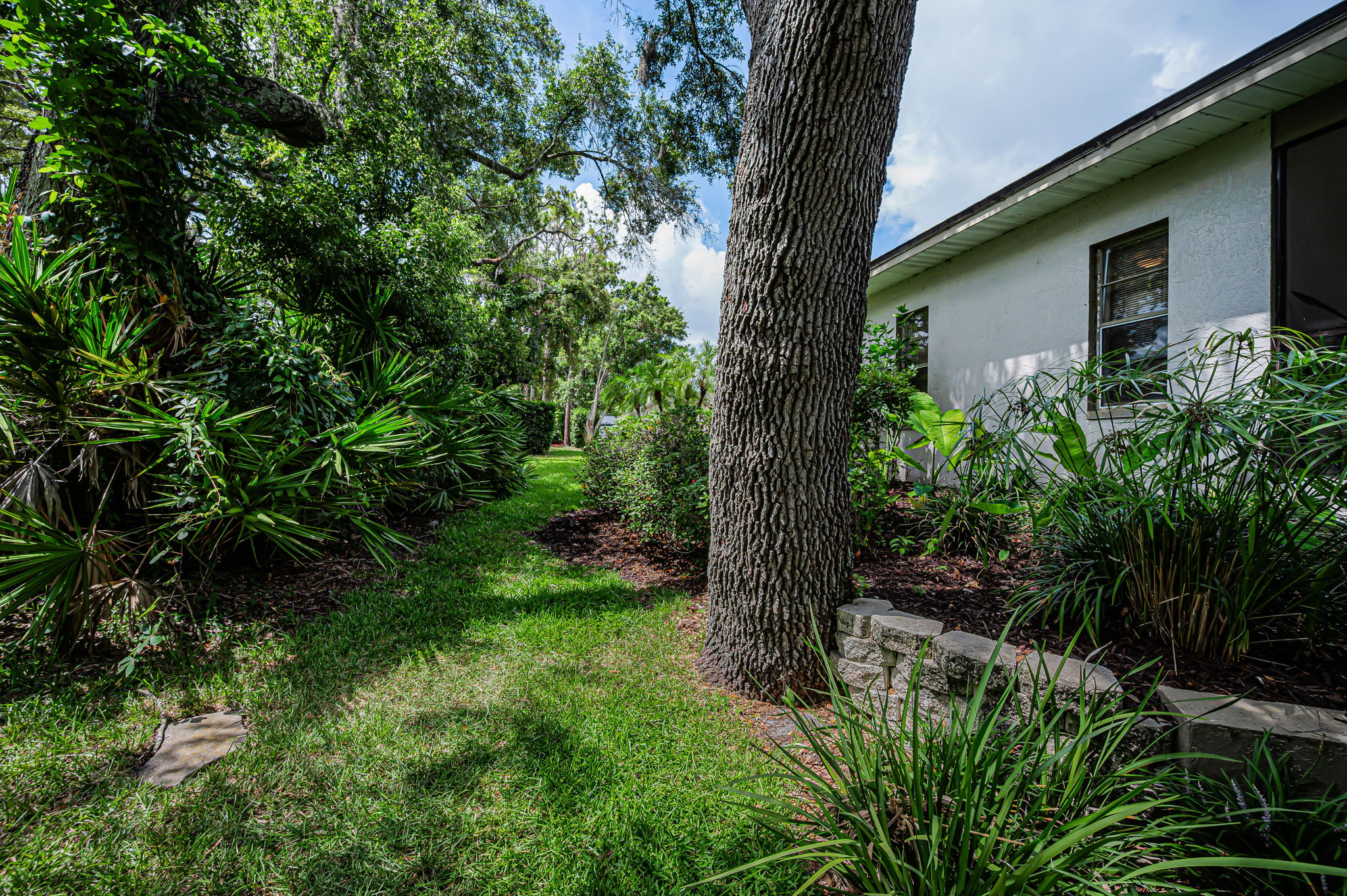 Backyard14