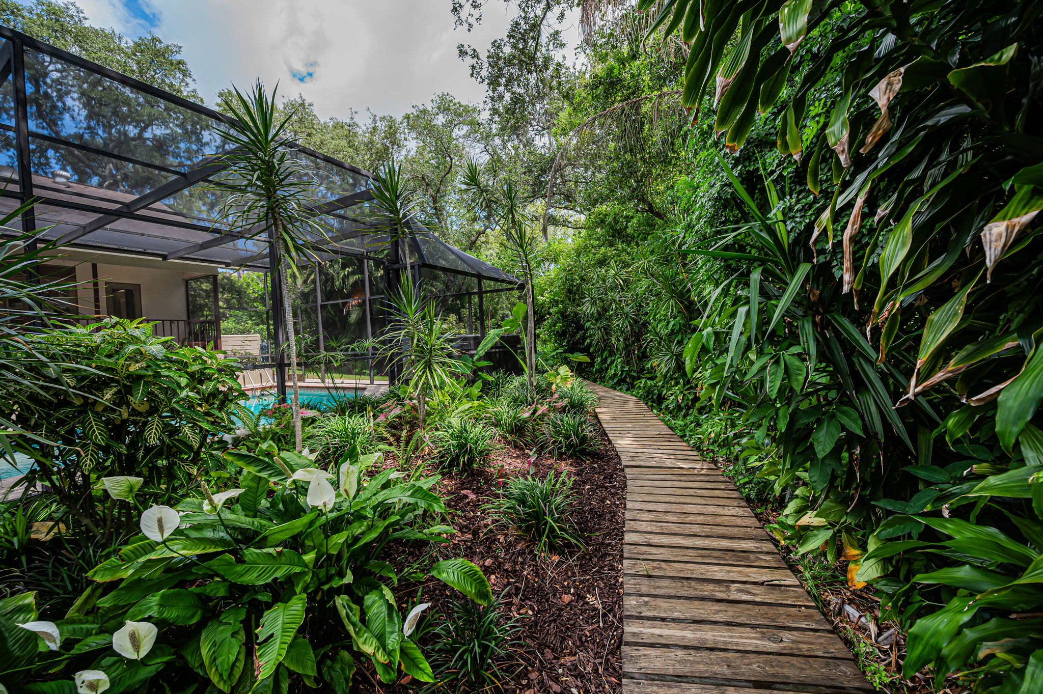 Backyard15