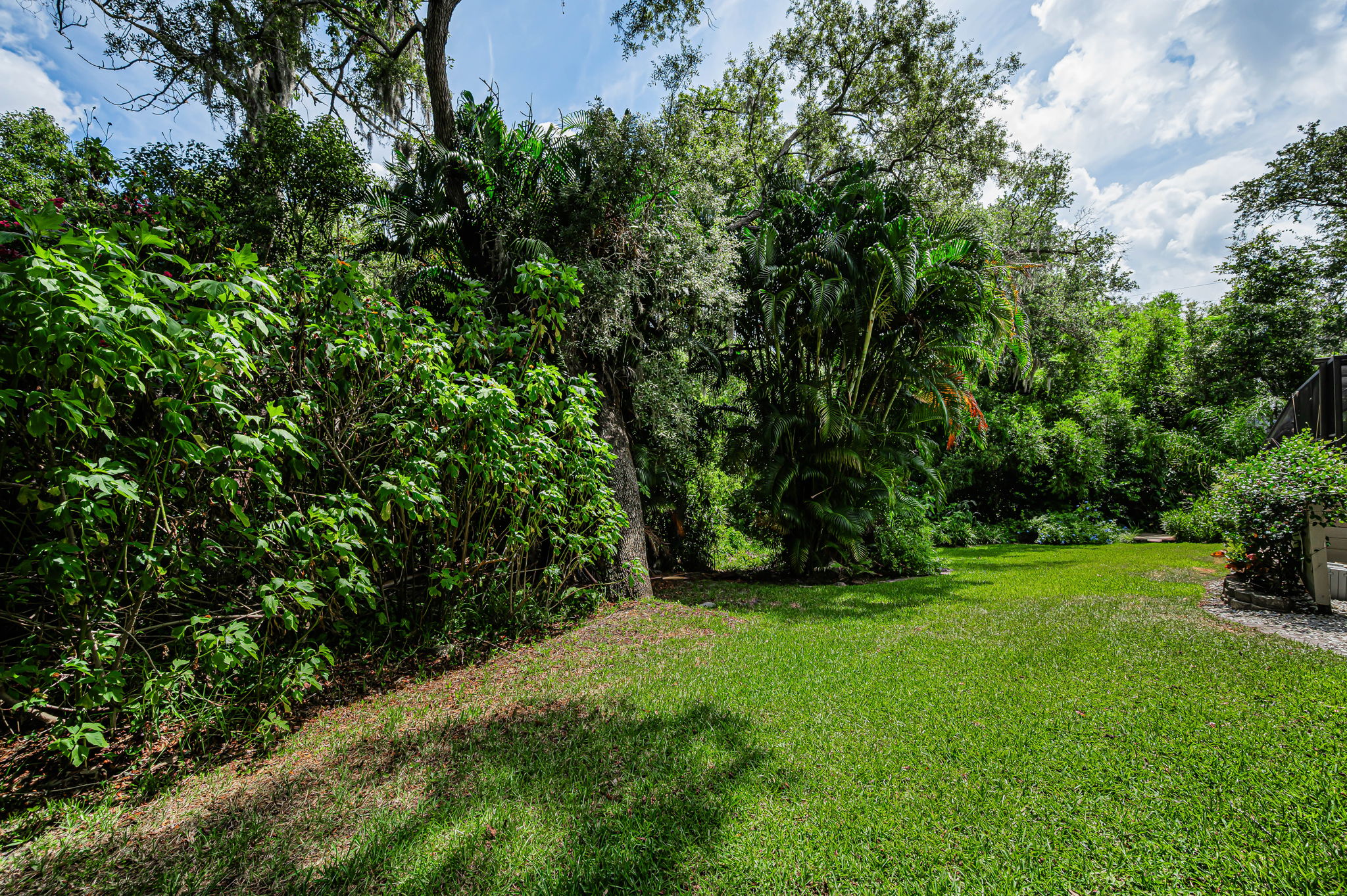 Backyard4