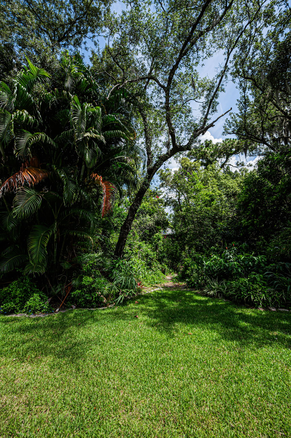 Backyard2