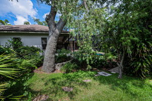 Backyard11