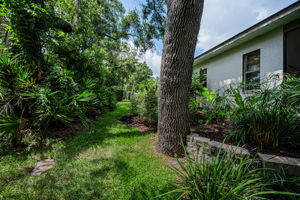Backyard14