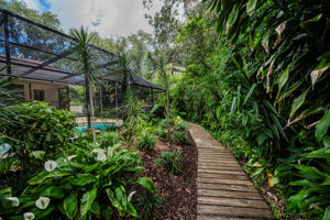 Backyard15
