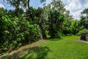 Backyard4